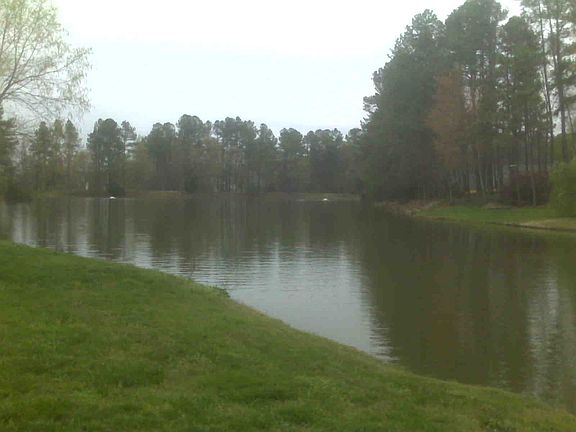 view from childs bedroom