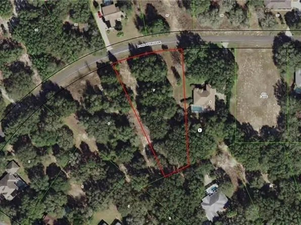 1350 E Ridgefield Dr, Hernando, FL 34442