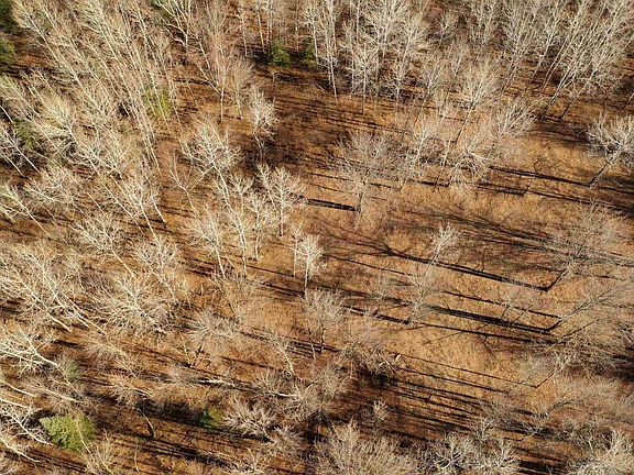 4th image of xxx County Rd 6