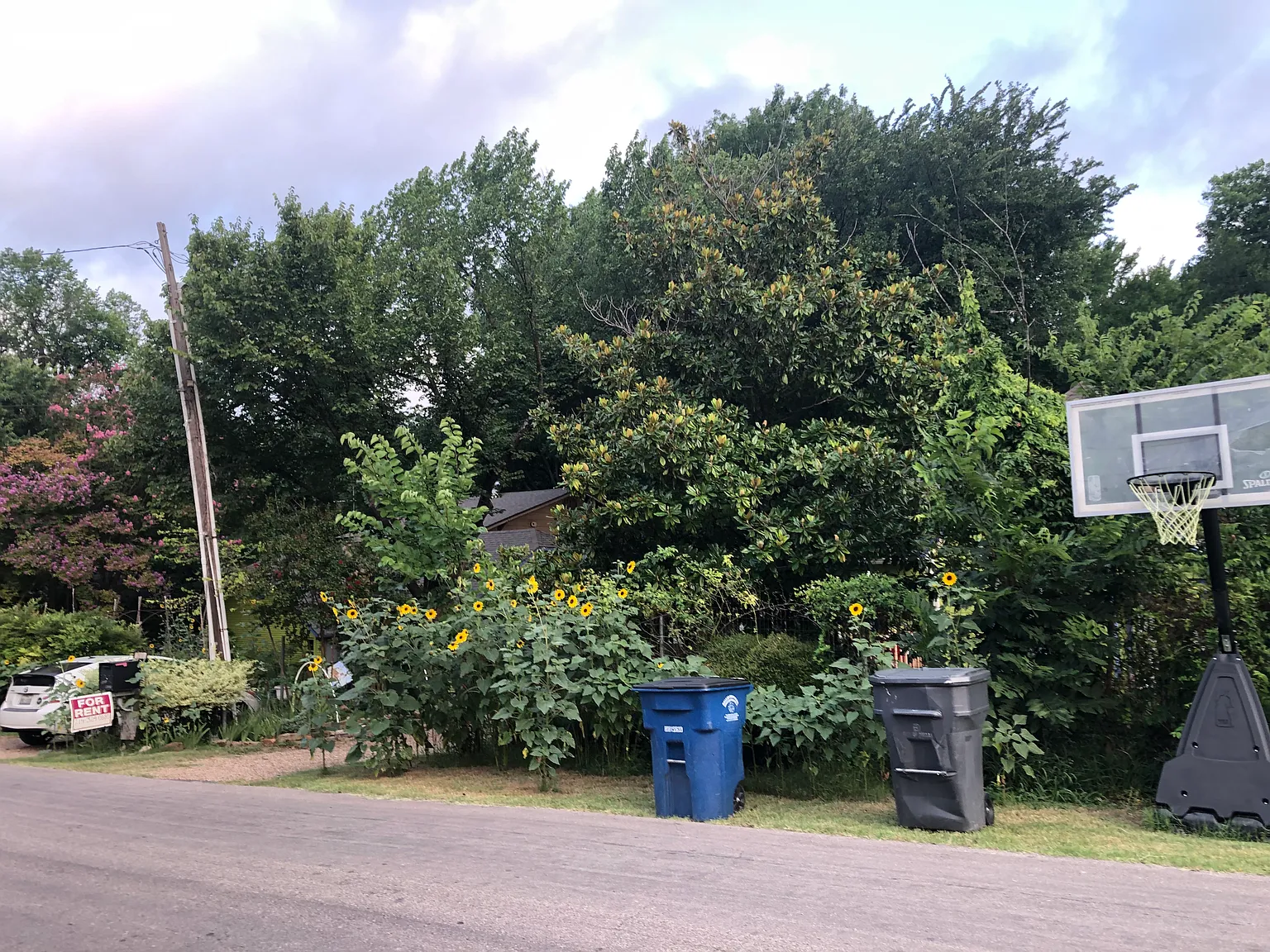 1 bed, 832 sqft, $2,100 — Photo 4