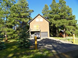 207 Antelope Ave, Pagosa Springs, CO 81147
