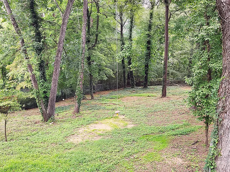Huge Backyard with Privacy
