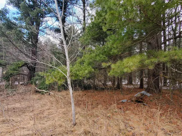 8618 Kokosing Rd, Long Lake, MI 48743