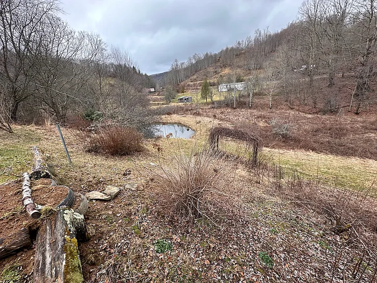 303 Baldwin Gap Rd — Photo 5
