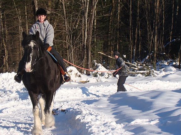 skijoring. . .