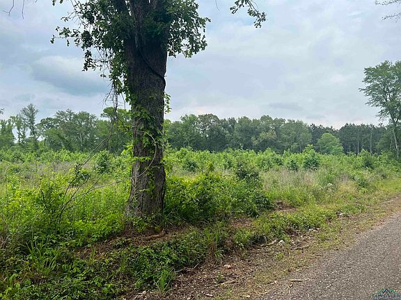 4th image of County Road 476 & Cres #4194