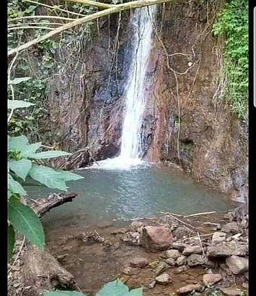 4th image of 5-3000 Kuhio Hwy