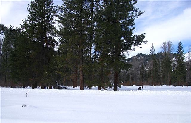 1st image of LOT 64 Amended Elk Valley