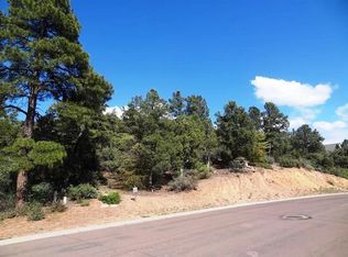 607 N Wood Hill Rd, Payson, AZ 85541