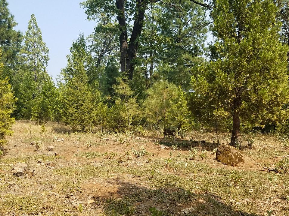 2nd image of Donkey Mine Rd