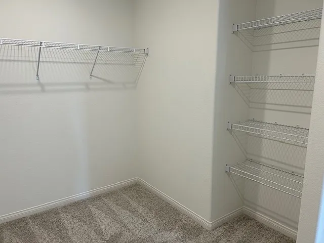 4137 Juniper Pear Ave — Photo 3