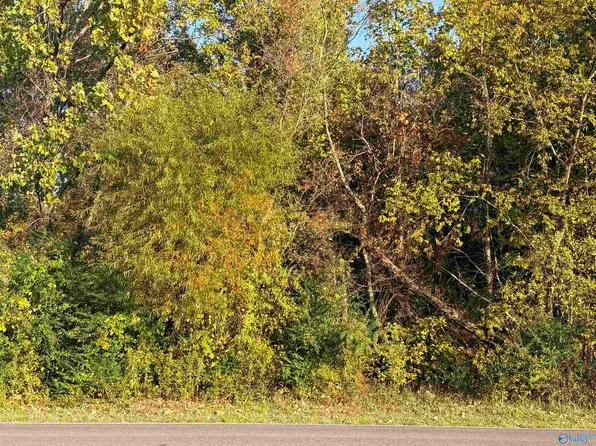 1 & 2 E Central Ave, Decatur, AL 35603