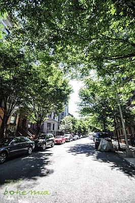 Rented by Bohemia Realty Group | media 19