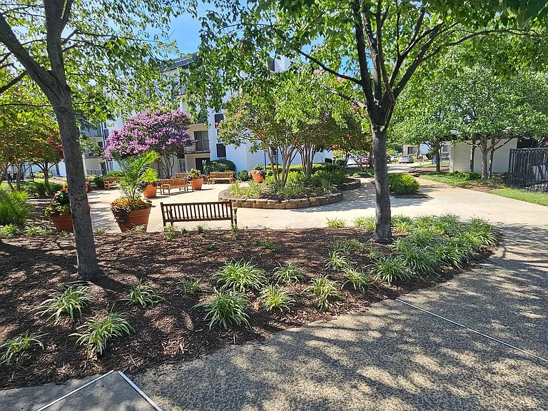 16 S Van Dorn St #201 — Photo 2