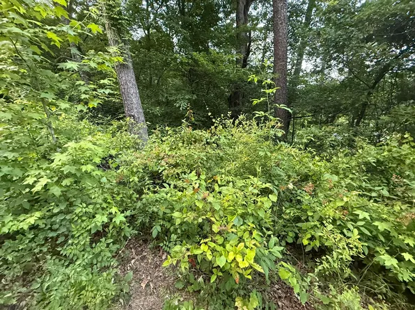 0 Morrison Ln, Ringgold, GA 30736