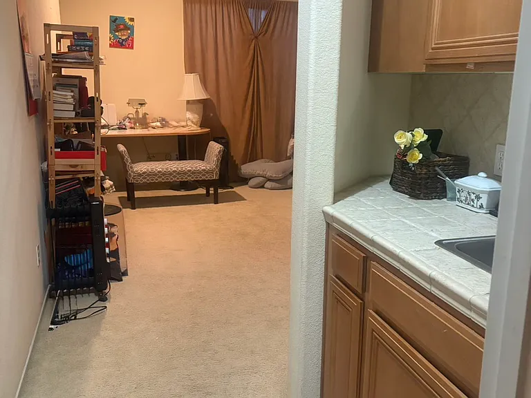 1147 Desert Fox Ct — Photo 4