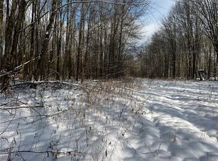 1175 Kale Adams Rd, Leavittsburg, OH 44430