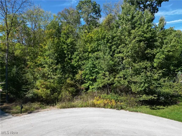 599 Brentwood Way Lot 17, Wadsworth, OH 44281