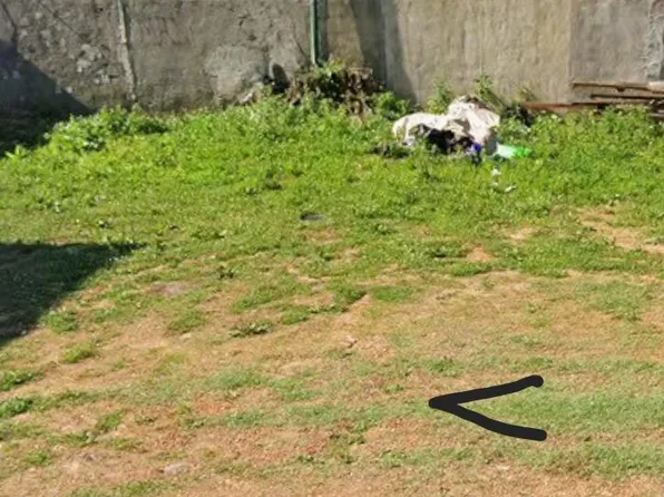 2906 W Nevada St, Philadelphia, PA 19132