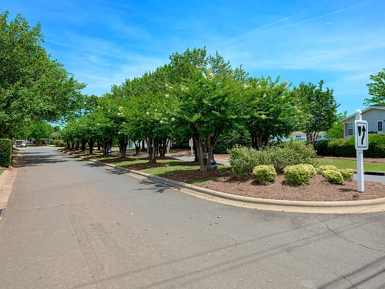 9859 Spring Ridge Ln — Photo 12