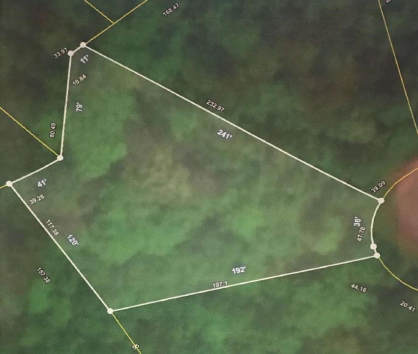 2nd image of 435 Foliage Ct