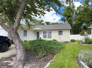 294 Meadows Ct, Millsboro, DE 19966