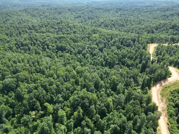 0D Black Bear Trail Rd, Linden, TN 37096