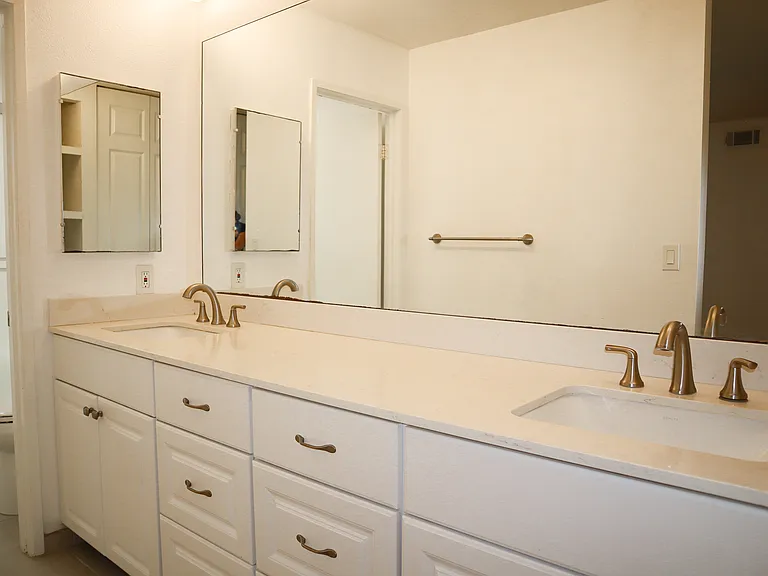 Master Bedroom Bathroom Sink