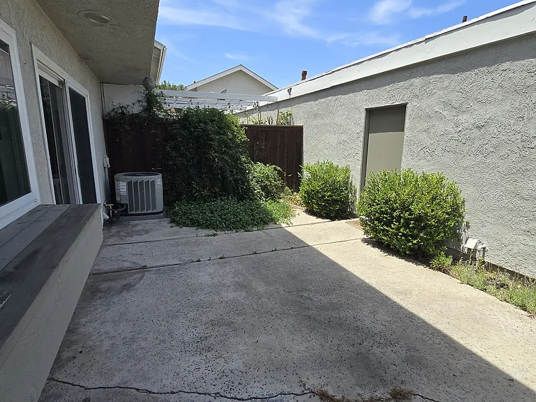 10 Goldenbush — Photo 16