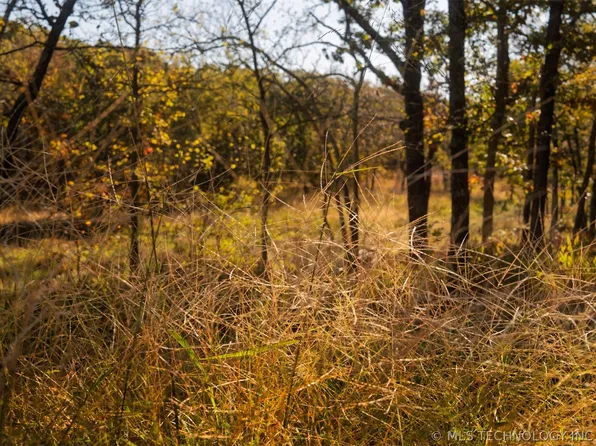 80 260th St, Beggs, OK 74421