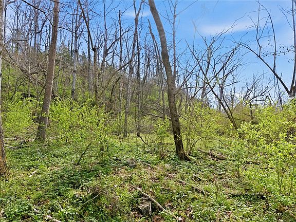 2nd image of 12782 Stoney Point Rd