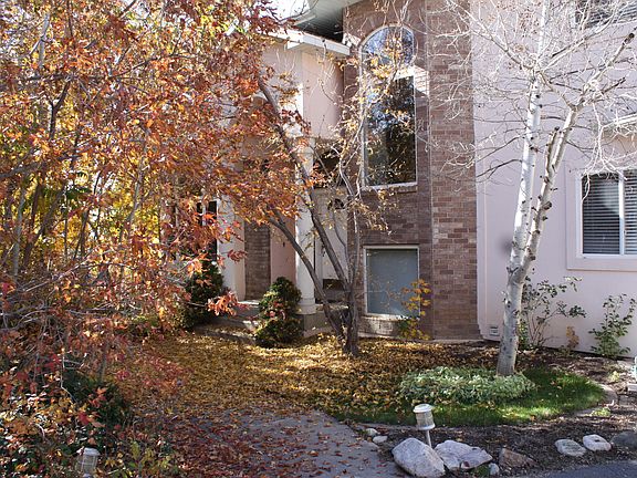 Front yard privacy/Fall