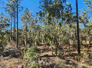 103 Manchester Ave, Interlachen, FL 32148