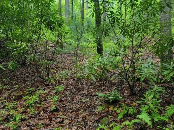 TBD Rocky Top Road, Lenoir, NC 28645