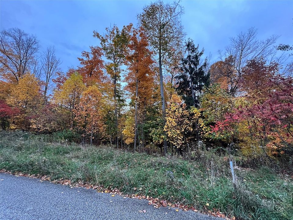 2nd image of 5885 Forest Xing