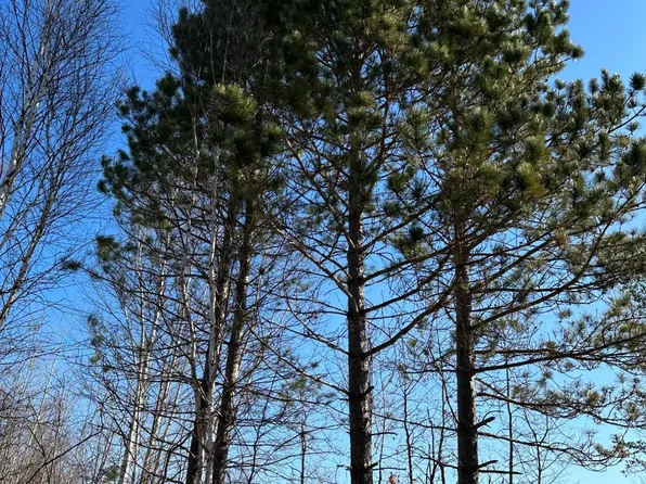 Spring Creek Dr #4080-3, Tomahawk, WI 54487