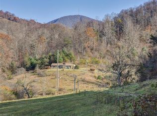 665 Cogburn Cove Rd, Canton, NC 28716