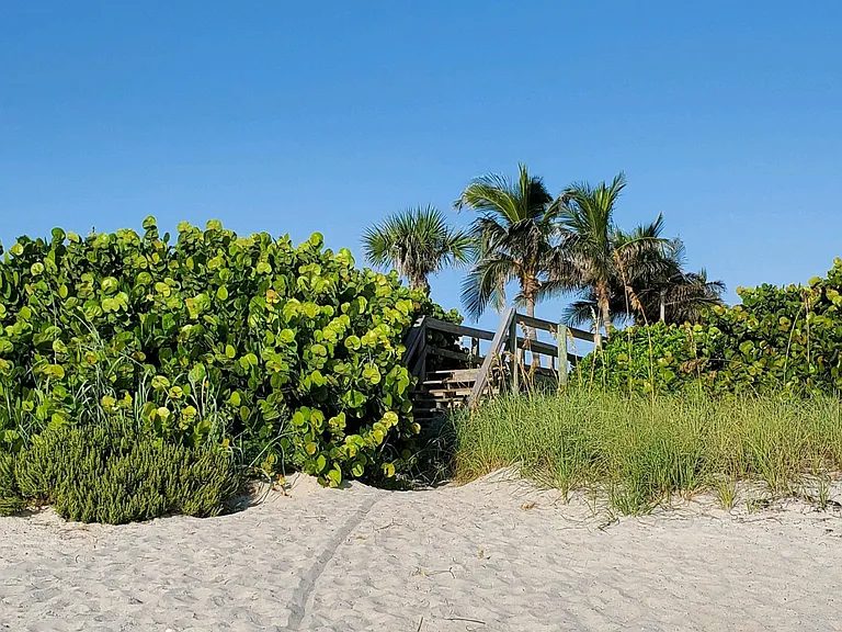 Easy walkway access to beach
