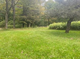 235 Sohne Rd, Mount Vision, NY 13810