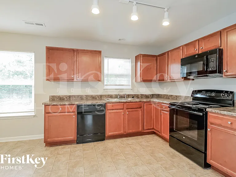 4124 Salem Springs Ct — Photo 8