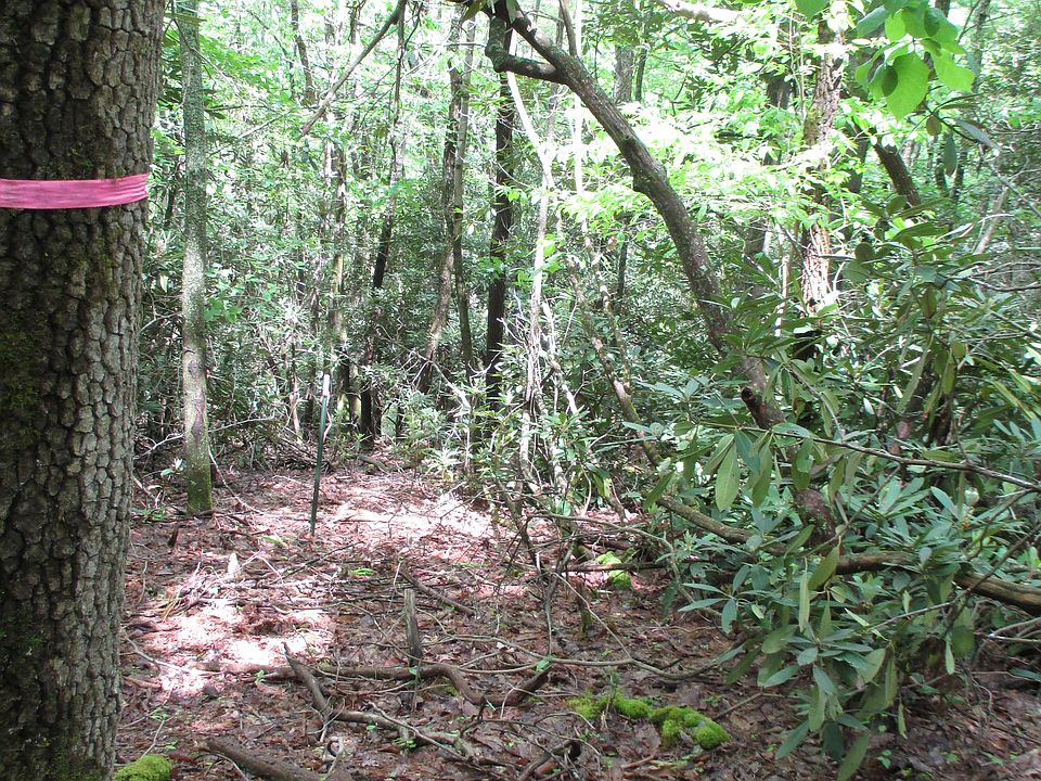 Lot surveyed and marked