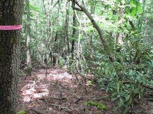 Sink Valley Rd, Butler, TN 37640