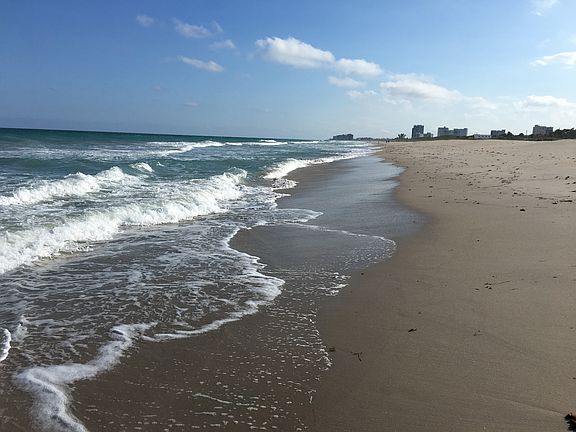 5th image of 5167 N A1a APT 306