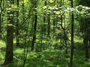 0 Frye Rd, Westfield, NC 27053