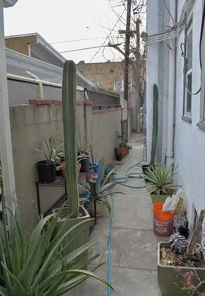 1502 E Harvard St — Photo 14
