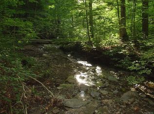 1996 28 Mile Creek Rd, Gerry, NY 14740