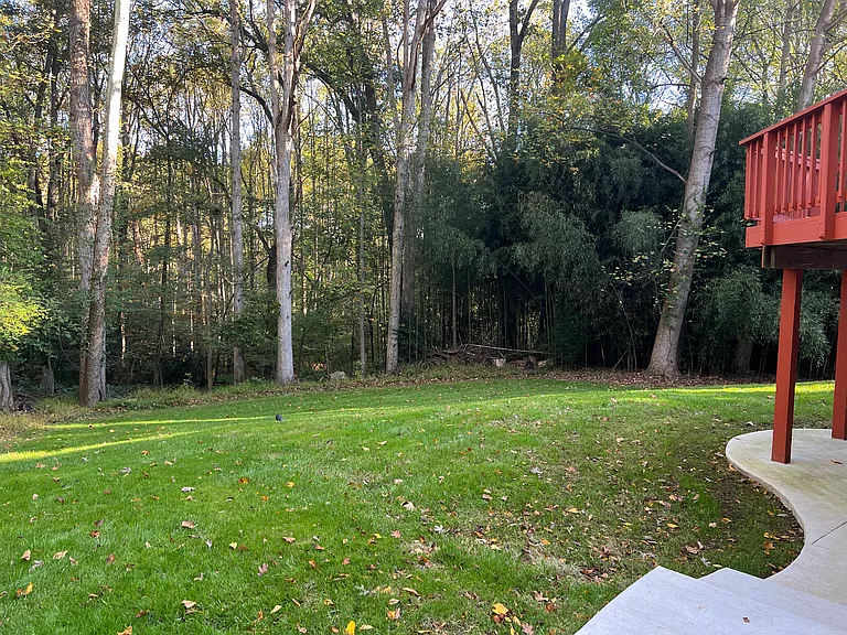 10112 Tamarack Dr — Photo 15