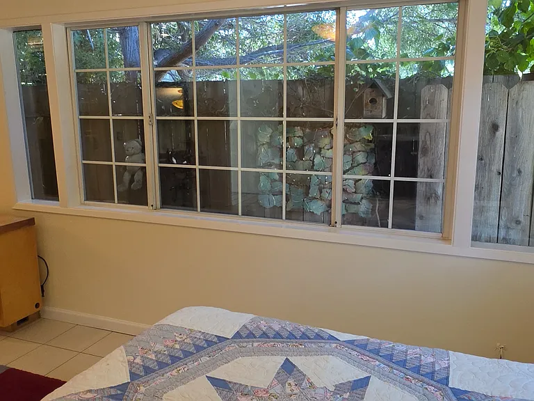 Primary view