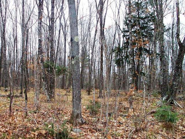 1st image of 3210 On Forest Rd