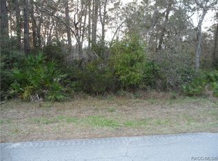 2724 S Coleman Ave, Homosassa, FL 34448